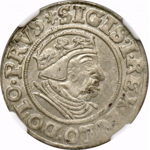 Zygmunt I Stary, Grosz 1539 Gdańsk - NGC MS62