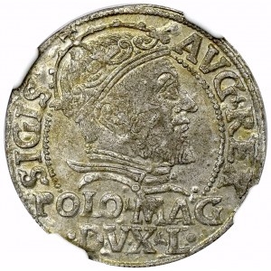 Zygmunt II August, Grosz na stopę polską 1547 Wilno - NGC MS61 