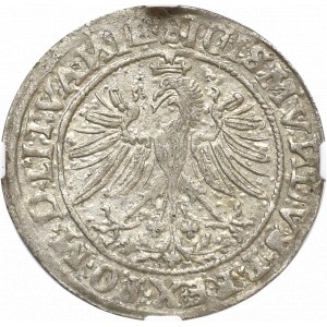 Zygmunt I Stary, Grosz 1535 Wilno - NGC AU58