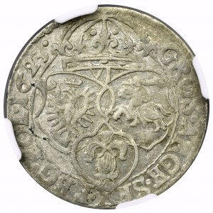 Zygmunt III Waza, Szóstak 1623 Kraków - NGC XF45