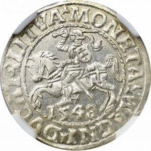 Zygmunt II August, Półgrosz 1548 Wilno - NGC MS63 