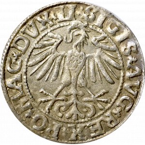 Zygmunt II August, Półgrosz 1550 Wilno 