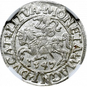 Zygmunt II August, Półgrosz 1547 Wilno - NGC MS64