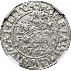 Zygmunt II August, Półgrosz 1547 Wilno - NGC MS64