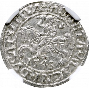 Zygmunt II August, Półgrosz 1548 Wilno - NGC MS66