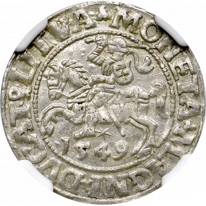 Zygmunt II August, Półgrosz 1549 Wilno - NGC MS64