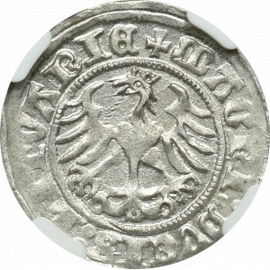 Zygmunt I Stary, Półgrosz 1512 Wilno - NGC MS64