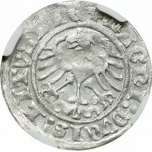 Zygmunt I Stary, Półgrosz 1512 Wilno - NGC MS64