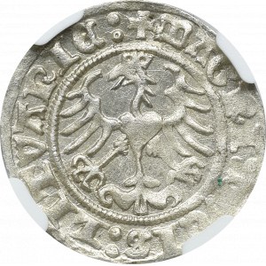 Zygmunt I Stary, Półgrosz 1512 Wilno - NGC MS63