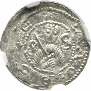 Bolesław IV Kędzierzawy, Denar - NGC MS64 