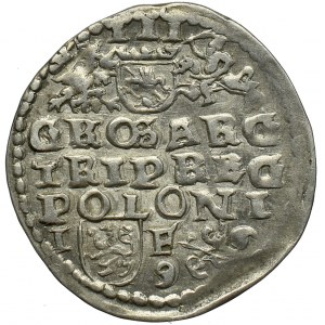 Zygmunt III Waza, Trojak 1596 Lublin - data po bokach herbu