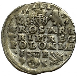 Zygmunt III Waza, Trojak 1595 Lublin - data po bokach herbu Lewart 