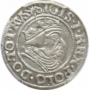 Zygmunt I Stary, Grosz 1538 Gańsk - PCGS AU58 