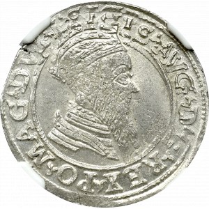 Zygmunt II August, Czworak 1568 Wilno - L/LITVA NGC MS63