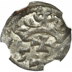 Zygmunt II August, Denar 1554 Gdańsk - NGC MS62