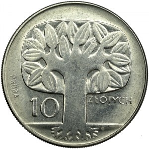 PRL, próba 10 złotych 1964 b.z. drzewko nikiel