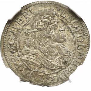 Śląsk, 6 Krajcarów 1683 FIK Opole - NGC MS62