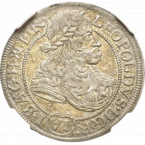 Śląsk, 6 Krajcarów 1682 SHS Wrocław - NGC MS61