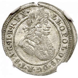 Śląsk, 1 Krajcar 1699 FN Opole - NGC MS61