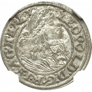 Śląsk, 1 Krajcar 1661 G-H Wrocław - NGC AU55