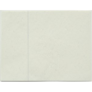 PWPW papier s vodoznakom - Józef Piłsudski