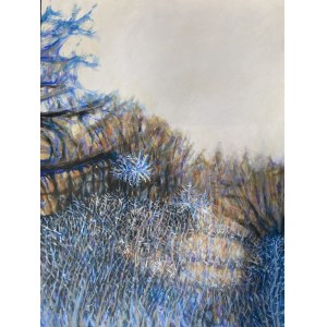 Ursula Szulborska, Frost paints on windows