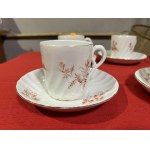 Porcelánová sada s kvítky 6ks šapo