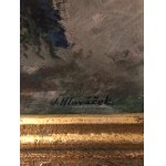 Josef Hlaváček, Obraz Josef Hlaváček - vlčí mák, olej, signováno