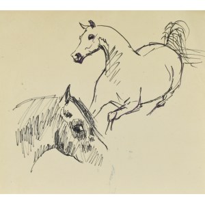 Ludwik MACIĄG (1920-2007), Skizze eines Pferdes und eines Pferdekopfes