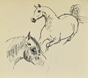 Ludwik MACIĄG (1920-2007), Szkic konia oraz łba końskiego