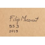 Filip Moszant (b. 1987, Avignon), BS3, 2019