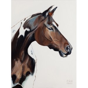Klaudyna Biel (ur. 1991, Częstochowa), Mammon Horse II, 2023