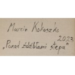 Marcin Kokoszko (geb. 1986, Warschau), Über der Steppe, 2023
