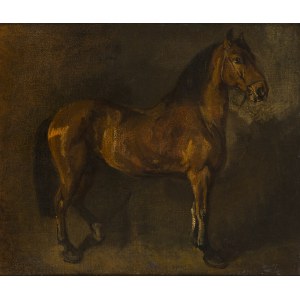 Piotr Michałowski (1800 Krakov - 1855 Krzyżtoporzyce pri Krakove), Štúdia koňa, asi 1840