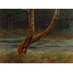 Józef Rapacki (1871 Warsaw - 1929 Olszanka near Skierniewice), Tree by a forest lake, 1912