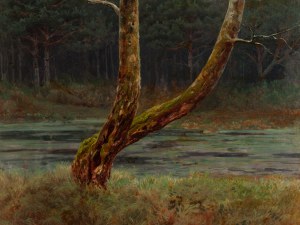 Józef Rapacki (1871 Warszawa - 1929 Olszanka k. Skierniewic), Drzewo nad leśnym jeziorem, 1912