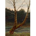 Józef Rapacki (1871 Warschau - 1929 Olszanka bei Skierniewice), Baum an einem Waldsee, 1912