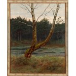 Józef Rapacki (1871 Warschau - 1929 Olszanka bei Skierniewice), Baum an einem Waldsee, 1912