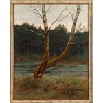 Józef Rapacki (1871 Varšava - 1929 Olszanka u Skierniewic), Strom na lesním jezeře, 1912