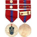 Czechoslovakia Medal for Exemplary Work of SPO ČSSR (Fire Protection Union) 1989