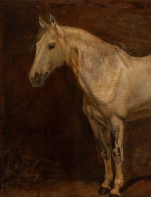 Juliusz Kossak (1824 Nowy Wiśnicz - 1899 Kraków), Studium siwego konia, około 1850-70