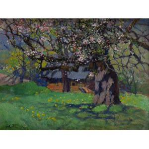 Stanislaw Paciorek (1889 Ladycze in Volhynia - 1952 Krakow), Flowering apple trees in a spring orchard, 1925