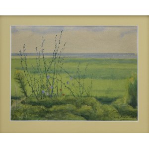 Eugeniusz Marcin KAZIMIROWSKI (1873-1939), Landscape with a meadow