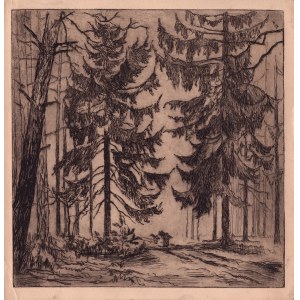 Wladyslaw ZAKRZEWSKI, In the forest