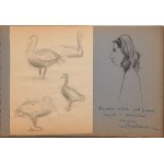 ALBUM FOR EUGENIUSZ ARCT, 1954