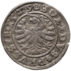 Zygmunt I Stary, szeląg 1529, Toruń