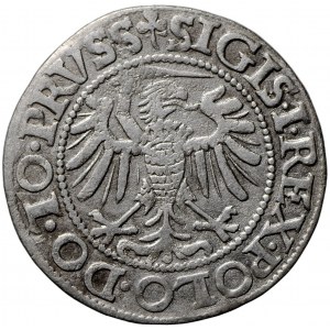 Zygmunt I Stary, grosz 1539, Elbląg, miecz w prawej dłoni Orła (R2)