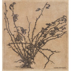 Włodzimierz Konieczny (1886-1916), The rose bush, 1909