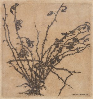 Włodzimierz Konieczny (1886-1916), Krzew róży, 1909