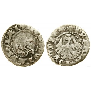 Polen, Kronen-Halbpfennig, (1394-1396), Krakau